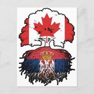 Serbia Serbian Canadian Canada Tree Roots Flag Postkarte