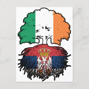 Serbia Serbian Irish Ireland Tree Roots Flag Postkarte