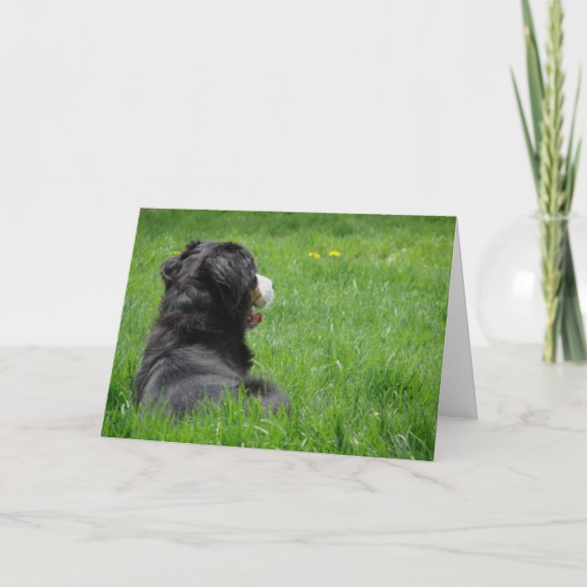 Serena in der Sonne Karte (Vorderseite)