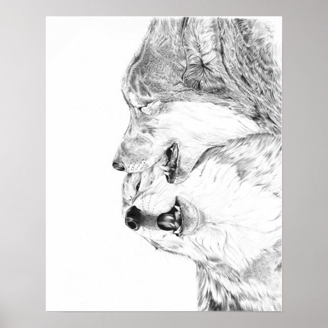 Serenade Poster (Vorne)