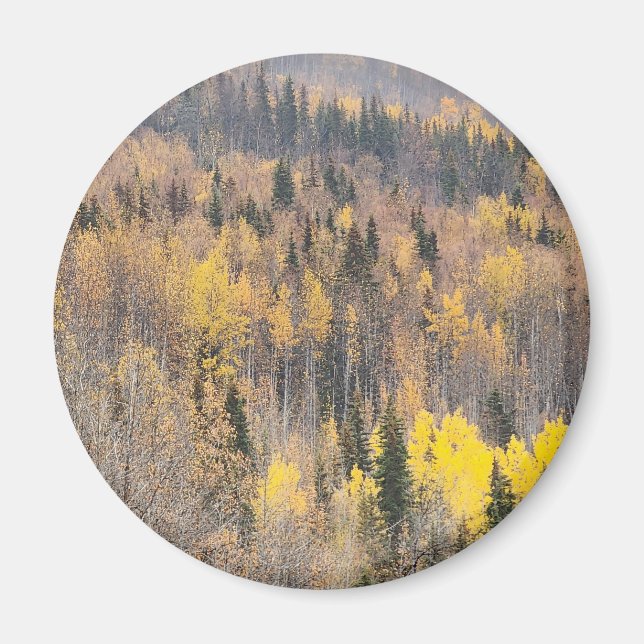 Serene Autumn Forest Magnet (Vorne)