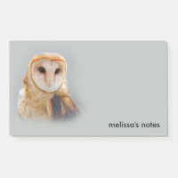 Serene Beautiful Barn Owl Raptor Bird of Prey