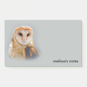 Serene Beautiful Barn Owl Raptor Bird of Prey Post-it Klebezettel