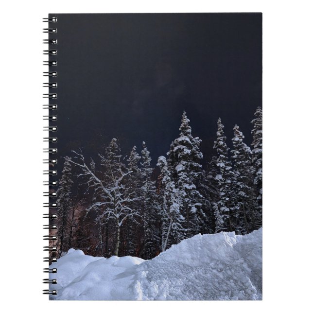 Serene Blue Winter Forest Spiral Notebook Notizblock (Vorderseite)