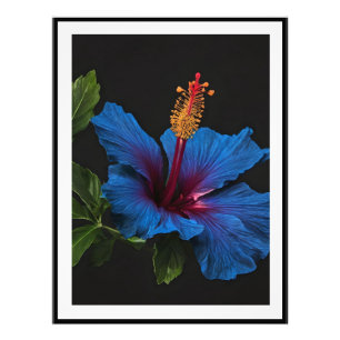 "Serene Blüte: Die Schönheit der blauen Hibiskusbl Fotodruck