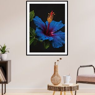 "Serene Blüte: Die Schönheit der blauen Hibiskusbl Poster