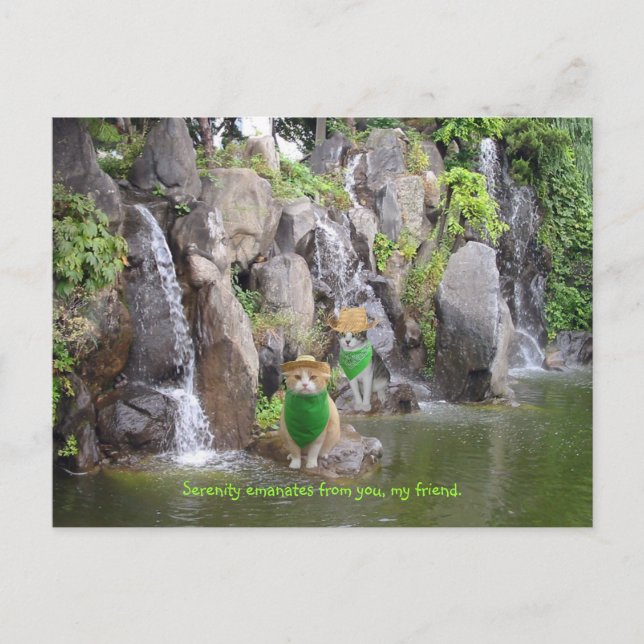 Serene Bubba Postkarte (Vorderseite)