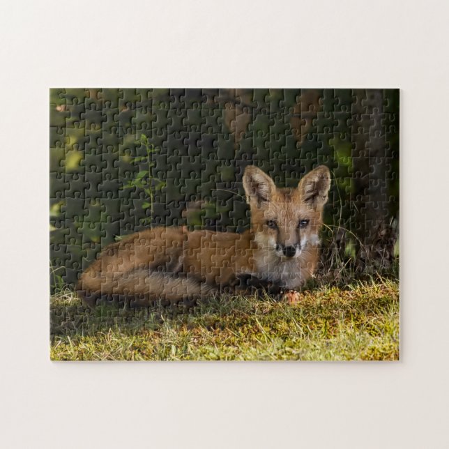 Serene Fox Puzzle (Horizontal)