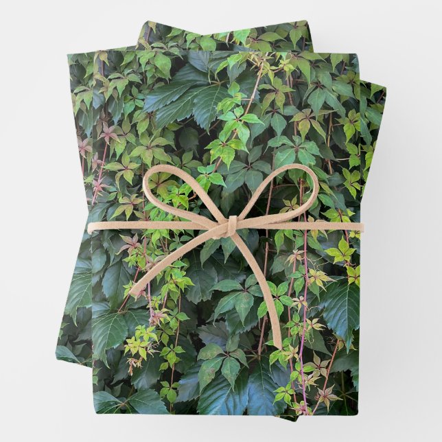 Serene Green Ivy Wall Hanging Vines Pflanze Blätte Geschenkpapier Set (Beispiel)