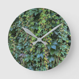 Serene Green Ivy Wall Hanging Vines Pflanze Blätte Runde Wanduhr