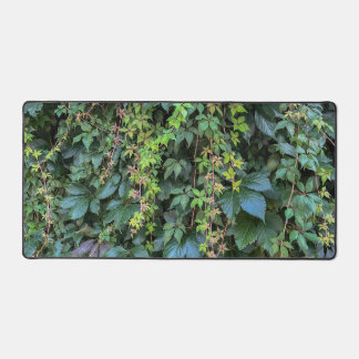 Serene Green Ivy Wall Hanging Vines Pflanze Blätte Schreibtischunterlage