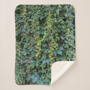 Serene Green Ivy Wall Hanging Vines Pflanze Blätte Sherpadecke