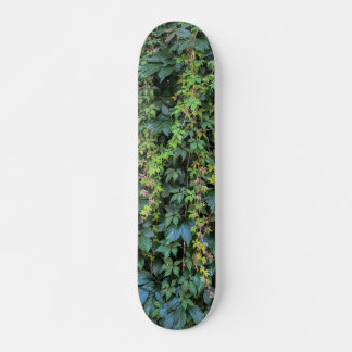 Serene Green Ivy Wall Hanging Vines Pflanze Blätte Skateboard