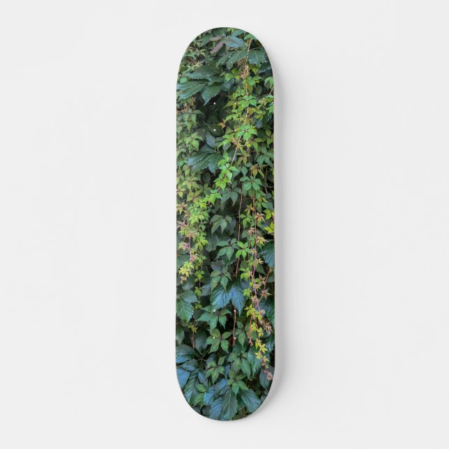 Serene Green Ivy Wall Hanging Vines Pflanze Blätte Skateboard (Vorne)