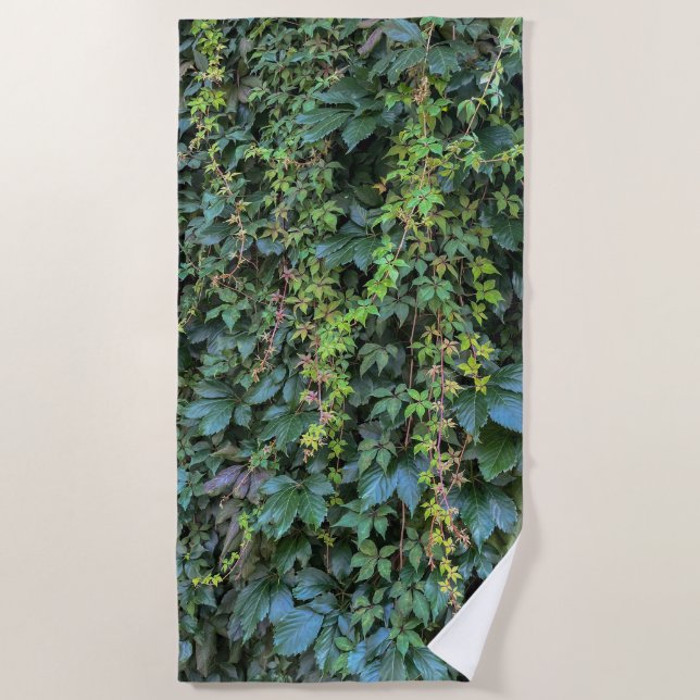 Serene Green Ivy Wall Hanging Vines Pflanze Blätte Strandtuch (Vorderseite)