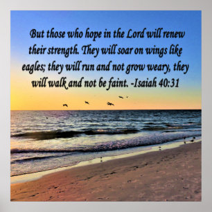 SERENE ISAIAH 40:31 SCRIPTURE-DESIGN POSTER