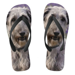 Serene Majesty: Wolfhound sitzt in einer Lila Iris Flip Flops