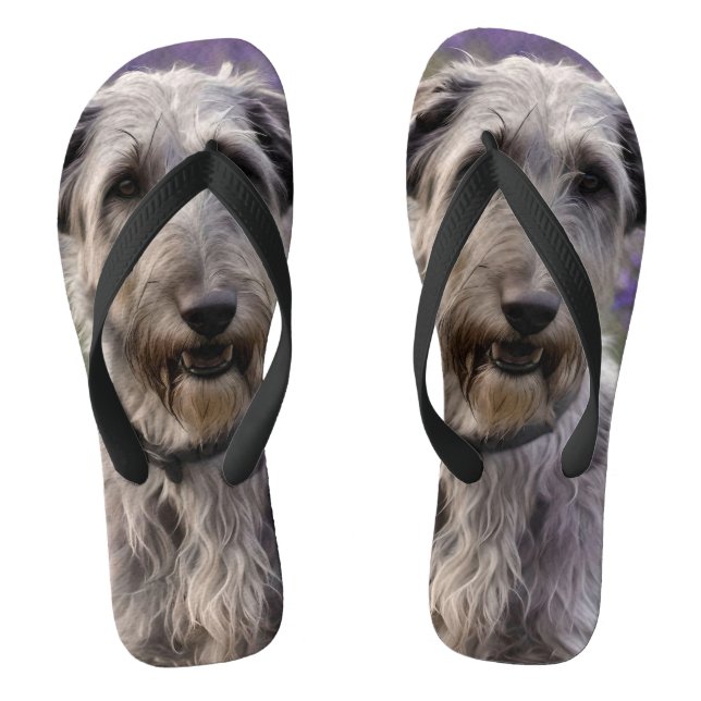 Serene Majesty: Wolfhound sitzt in einer Lila Iris Flip Flops (Fußbett)