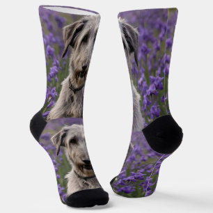 Serene Majesty: Wolfhound sitzt in einer Lila Iris Socken