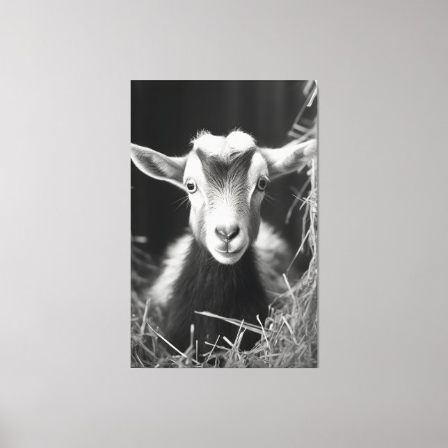Serene Monochromatic Artistic Baby Goat Portrait Leinwanddruck (Vorderseite)