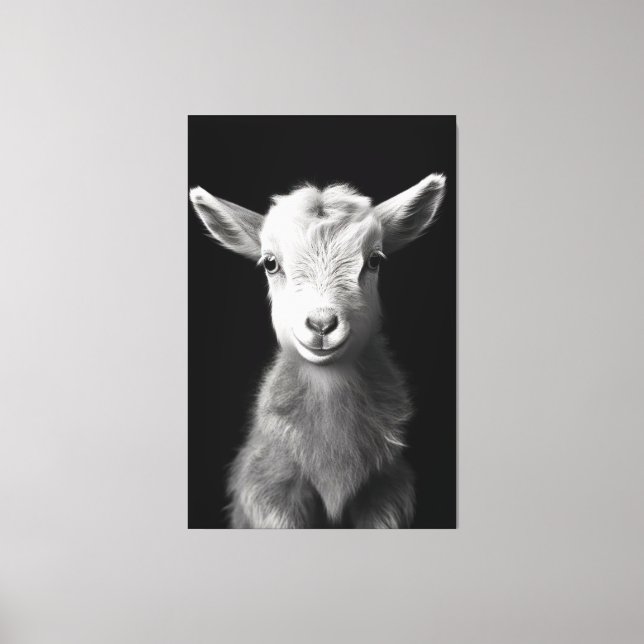 Serene Monochromatic Baby Goat Portrait Leinwanddruck (Vorderseite)