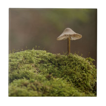 Serene Mushroom in Mossy Forest Art Print
