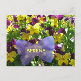 Serene Pansy Postcard Postkarte