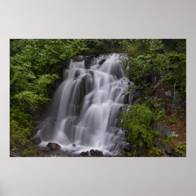 Serene Poster (Vorne)