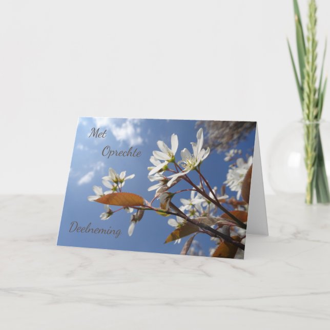 Serene Raisin Blossom Beileid Dutch Greeting Card Karte (Vorderseite)