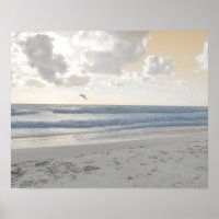 Serene Sea