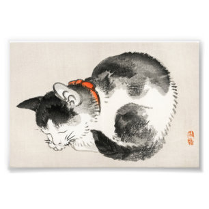 Serene Slumber: Schlafende Katze von Kōno Bairei Fotodruck