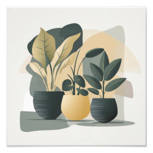 Serene Succulents Fotodruck