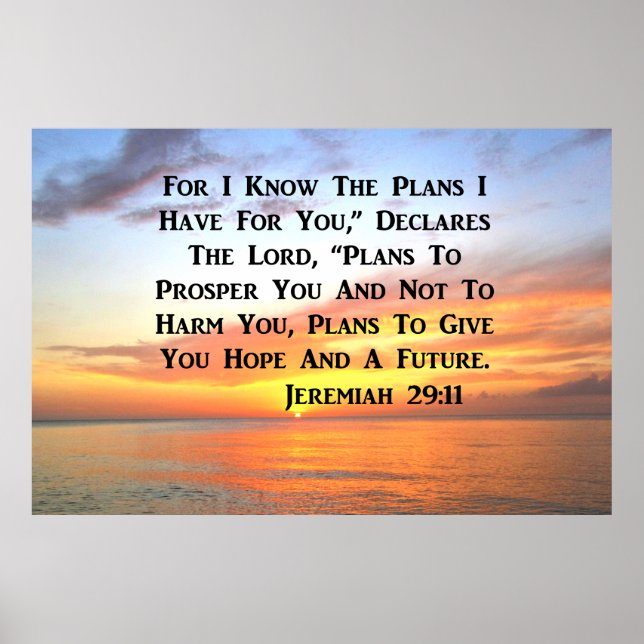 SERENE SUNRISE JEREMIAH 29:11 BIBLE VERSE POSTER (Vorne)