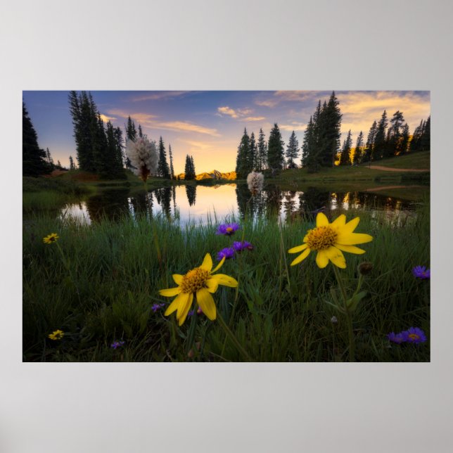 Serene Sunrise über einem Colorado-Teich Poster (Vorne)