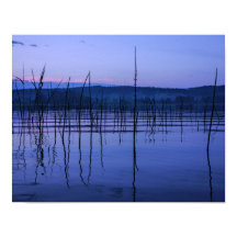 Serene und mistige See nach starkem Regen