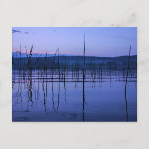 Serene und mistiger See nach heftigem Regen Postka Postkarte