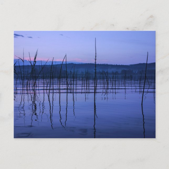 Serene und mistiger See nach heftigem Regen Postka Postkarte (Vorderseite)