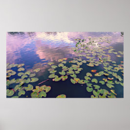 Serene Wasserlilien Poster