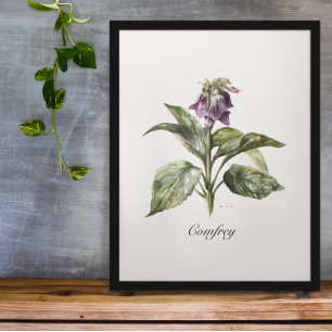 Serene Watercolor Comfrey, kundenspezifisch Poster