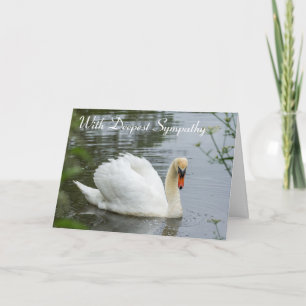 Serene White Swan Sympathy Card Karte