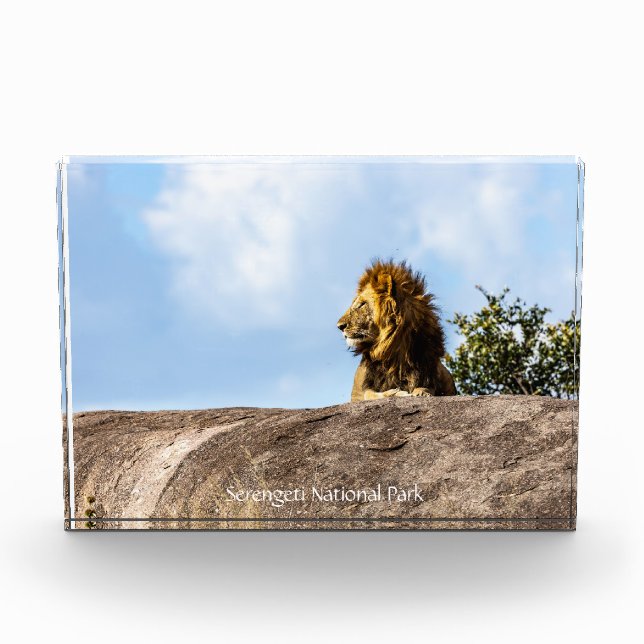 Serengeti National Park Fotoblock (Vorderseite)