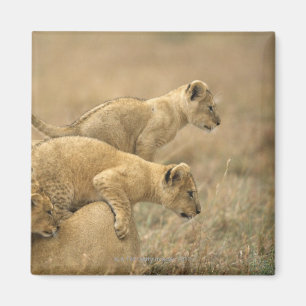 Serengeti Nationalpark, Tansania 2 Magnet