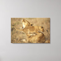 Serengeti-Nationalpark, Tansania