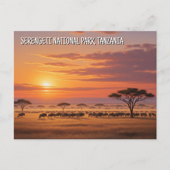 Serengeti Nationalpark Tansania Postcard Postkarte (Vorderseite)