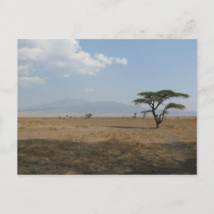 Serengeti Plains Postkarte