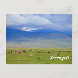 Serengeti Postkarte