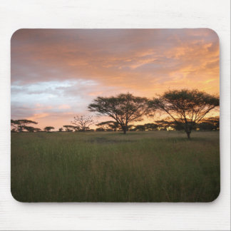 Serengeti Sonnenuntergang Mousepad