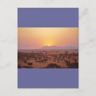 Serengeti Sonnenuntergang Postkarte