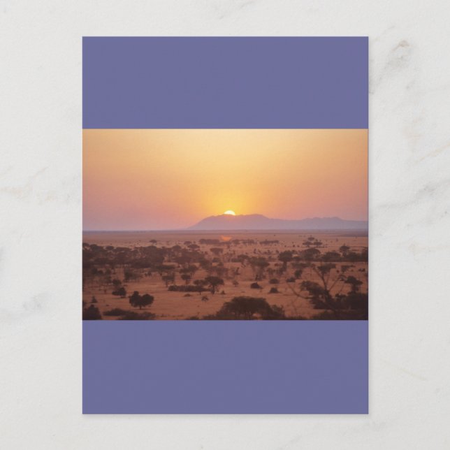Serengeti Sonnenuntergang Postkarte (Vorderseite)