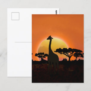 Serengeti Sunset Giraffe   Safari wild Postkarte